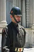 Sentry from the Turkish Presidential Guard, wearing a green cravat