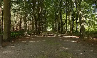 Doorn, heath: the Dartheide