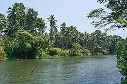 Tambaraparani river near Nithiravilai