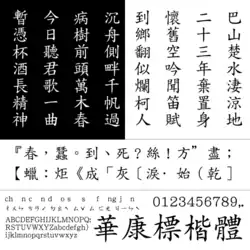 DynaFont BiaoKaiti / KaiU (華康標楷體)