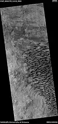 Wide view of a field of sand dunes, as seen by HiRISE under HiWish program