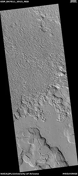 Wide view of polygon ridges, as seen by HiRISE under HiWish program