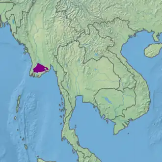 Ecoregion territory (in purple)