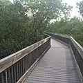 Elevated boardwalk