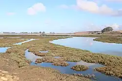 Photograph of wetland with ponds, channels, low vegetation, and hills and trees in the distance