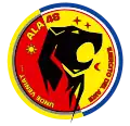Emblem of the 48th Wing