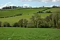 Hilly grazing farmland with trees and hedgerows with Cae Camp in the distance on the skyline
