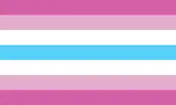 A retangular flag with seven equal-width horizontal stripes: hot pink, light pink, white, light blue, white, light pink, hot pink.