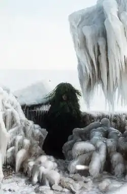 Fern Shaffer, Winter Solstice ritual, 1985.