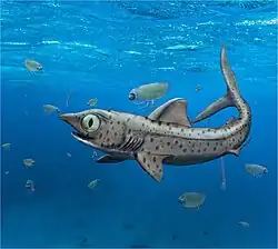 Ferromirum oukherbouchi