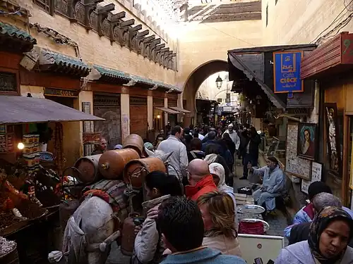 Mule moving goods through the car-free medina in Fez, Morocco