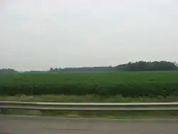 Fields and woods in northern Groton Township