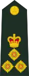 Brigadier (Fiji Infantry Regiment)