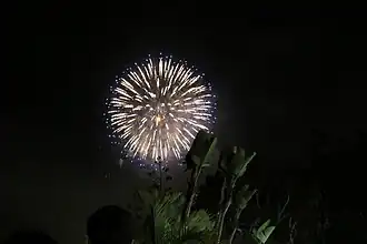 Fireworks at night.