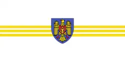 Flag of Chișinău