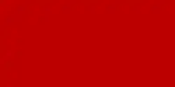 Flag of Hungarian Soviet Republic