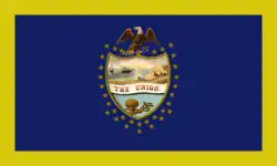 Digital reconstruction of a state flag used by the D.A.R, 1920