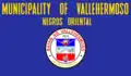Flag of Vallehermoso