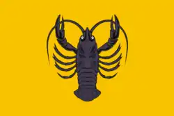 Flag of Vesyegonsky District