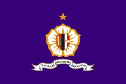 National Resilience Institute