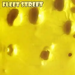 A closeup photo of a slice of yellow cheese with small holes in it. The name "Fleet Street" is in all caps block letters in the top-left corner.