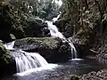 Multi-tiered Onomea Falls in Palm Jungle