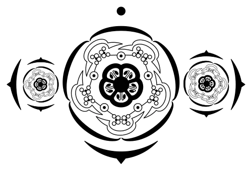 Partial inflorescence of Theobroma cacao