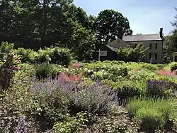 The historic Florence Griswold Museum Gardens in Old Lyme, CT in bloom, June 2020.