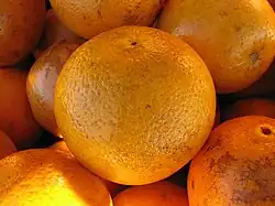 Florida navel oranges