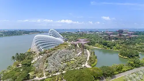 Aerial shot of Gardens by the Bay