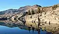 North aspect of Dicks Peak reflected in Fontanillis Lake
