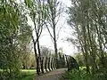 Footbridge_over_the_River_Weaver_-_geograph.org.uk_-_5655437