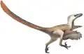 Velociraptor, an amniote sauropsid