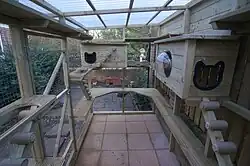 A timber freestanding catio with natural coloured rope with emerald green highlights. It has a multilevel play area with diagonally facing stepping pegs, two boxes for teh cats to hide in that are equipped with bubble windows.