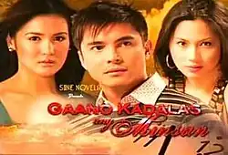 An image of Camille Prats, Marvin Agustin and Diana Zubiri. The series title is displayed on the lower part of the image. The text "Sine Novela Presents" is written above the series title.