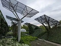 View from lower garden