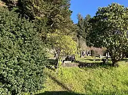 The Gardiner cemetery.