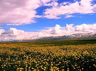 Yüksekova during spring