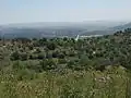General view of Bayt Nattif, looking south toward the Elah Valley