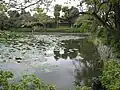Genpei ponds (Minamoto Pond)