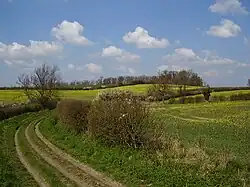 Loveden Hill, alleged meeting place of the wapentake