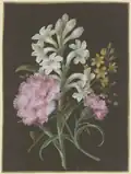 Gesteck aus Tuberose (Polyanthes), rosa Nelke (Dianthus) und gelber Blume mit Fliege