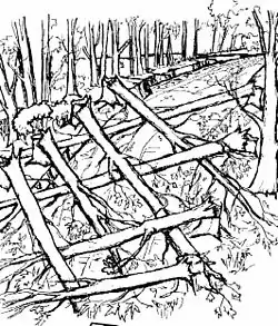 A road lined by trees, which have been felled diagonally across it, alternating sides so their trunks interlock, and with their crowns pointed toward the oncoming traffic.