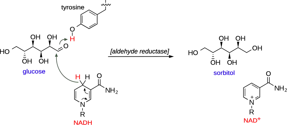 Mechanism of glucose aldehyde reduction into sorbitol