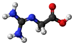 Ball and stick model of a glycocyamine minor tautomer