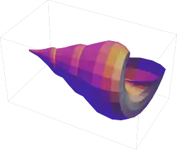 graphics complex of a seashell with gooch shading modeled in Mathematica 13.1