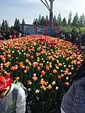 Goyang International Flower Festival