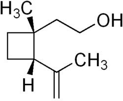 Skeletal formula of grandisol