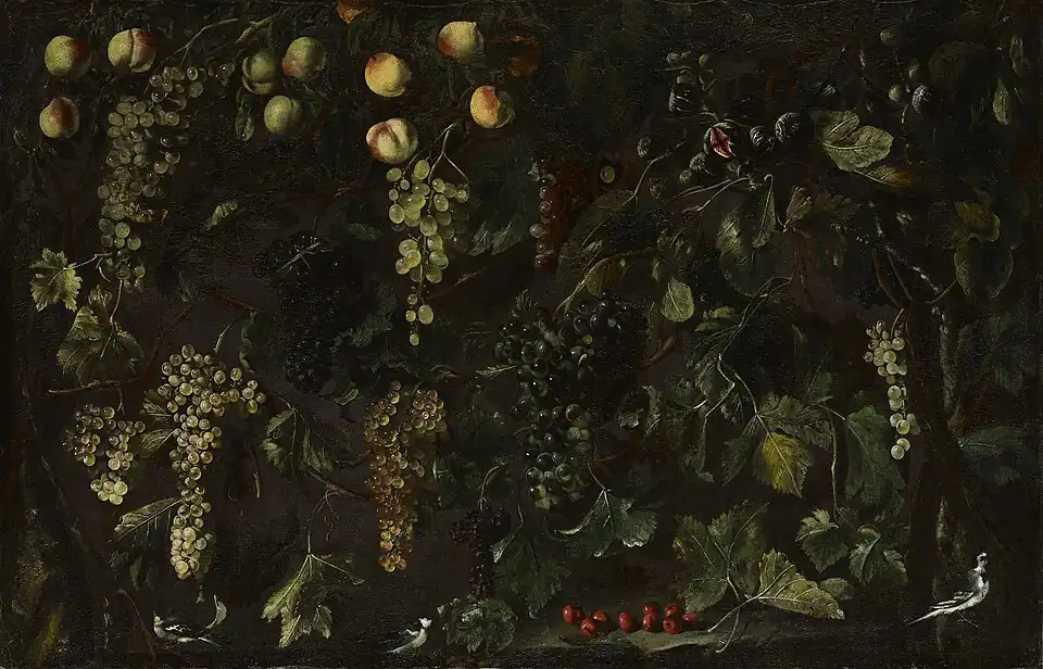 Grape Vines and Fruit, with Three Wagtailsca (ca. 1615) oil on canvas (40 × 61 3/4 in. /101.6 × 156.8&nbsp;cm) Metropolitan Museum of Art, New York
