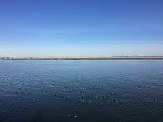 Across shimmering blue water, a flat stripe of dark vegetation can be seen beneath calm skies.